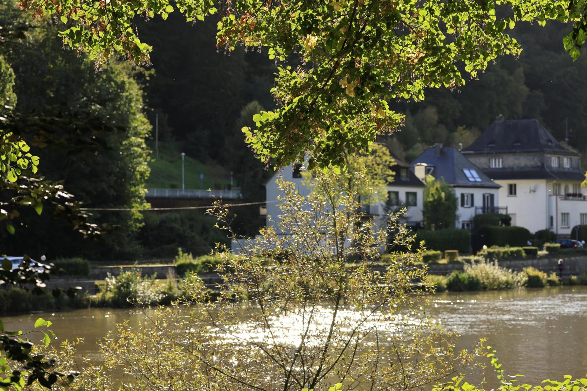 Ferienwohnung Bei Bad Ems Im Lahntal Фахбах Экстерьер фото